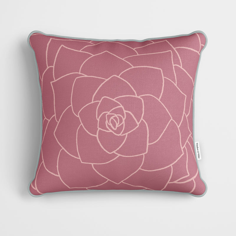 Succulent Outline Pink Cushion - Handmade Homeware, Made in Britain - Windsor and White