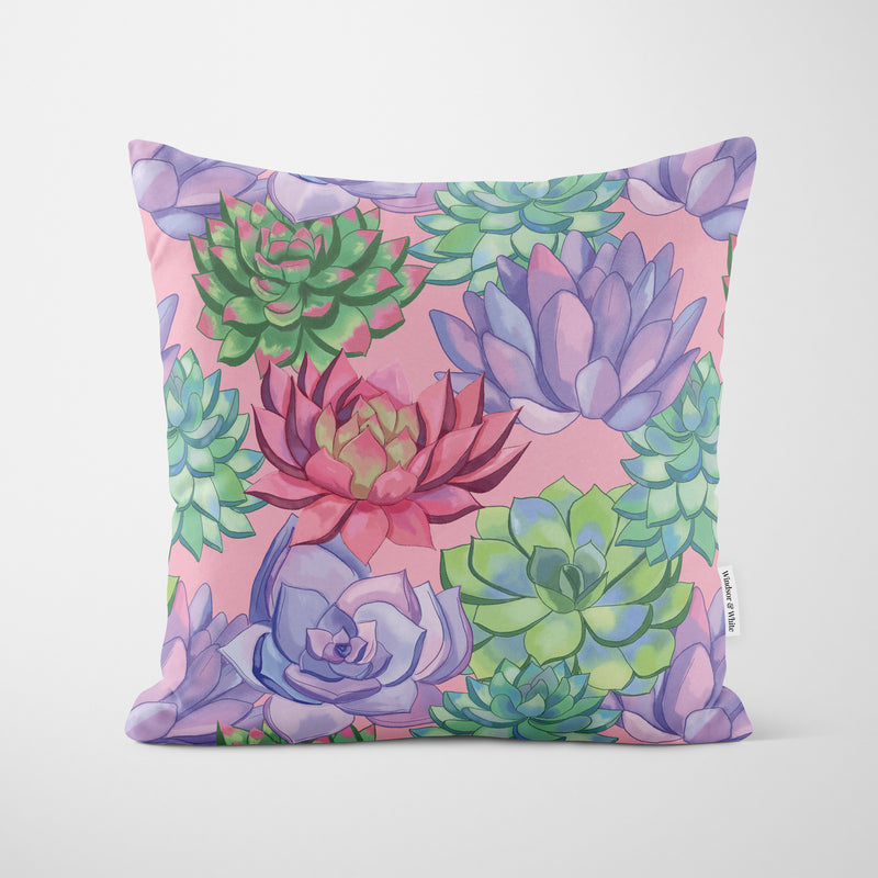Painted Succulents Pink Cushion - Handmade Homeware, Made in Britain - Windsor and White